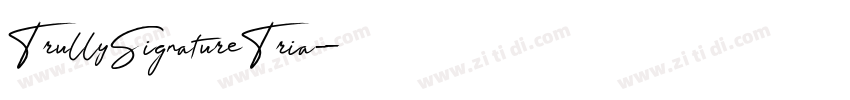 TrullySignatureTria字体转换
