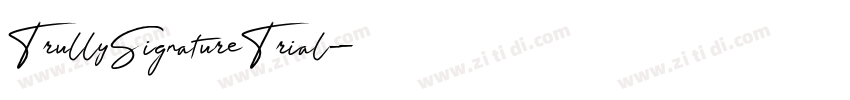 TrullySignatureTrial字体转换