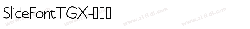 SlideFontTGX字体转换