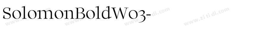 SolomonBoldW03字体转换
