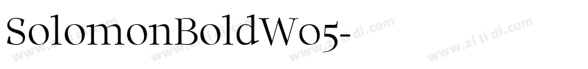 SolomonBoldW05字体转换