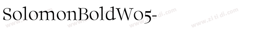 SolomonBoldW05字体转换
