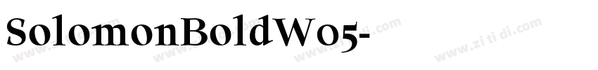 SolomonBoldW05字体转换