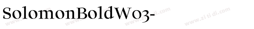SolomonBoldW03字体转换