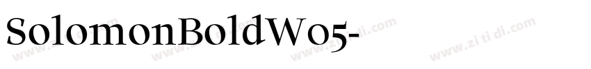 SolomonBoldW05字体转换