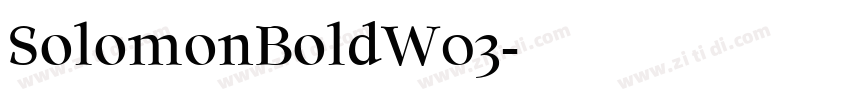 SolomonBoldW03字体转换