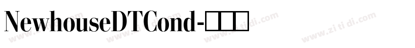 NewhouseDTCond字体转换