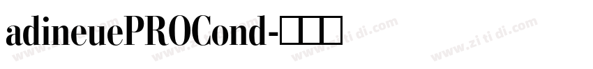 adineuePROCond字体转换
