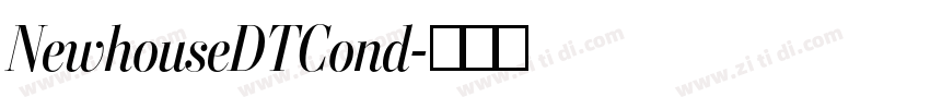 NewhouseDTCond字体转换