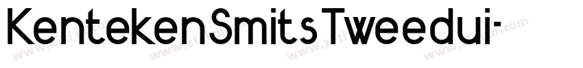 KentekenSmitsTweedui字体转换