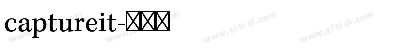 captureit字体转换