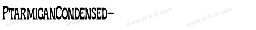 PtarmiganCondensed字体转换