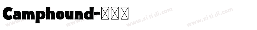Camphound字体转换