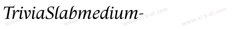 TriviaSlabmedium字体转换