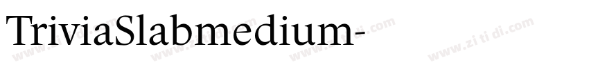 TriviaSlabmedium字体转换