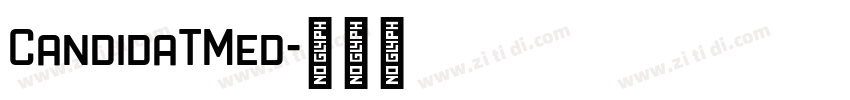 CandidaTMed字体转换