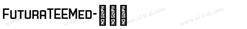 FuturaTEEMed字体转换