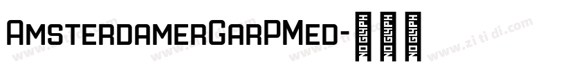 AmsterdamerGarPMed字体转换