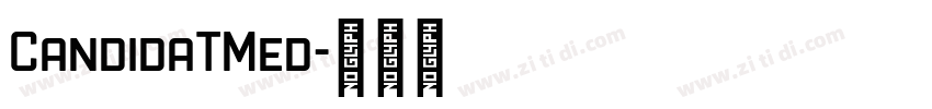 CandidaTMed字体转换