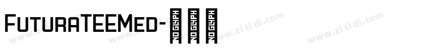 FuturaTEEMed字体转换