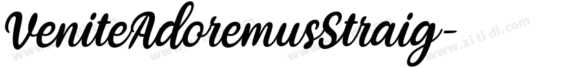 VeniteAdoremusStraig字体转换