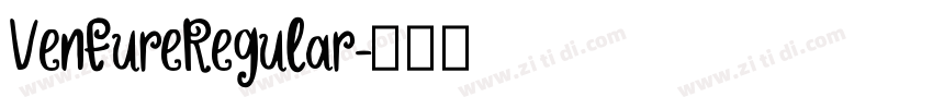 VentureRegular字体转换