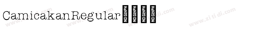 CamicakanRegular字体转换