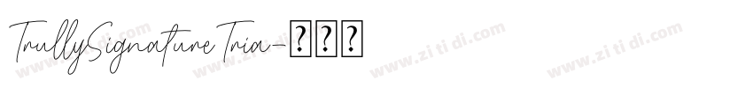 TrullySignatureTria字体转换