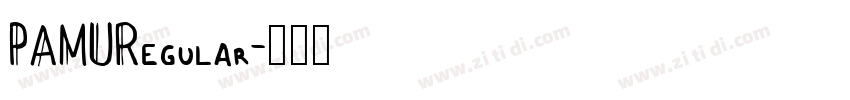 PAMURegular字体转换