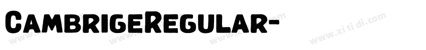 CambrigeRegular字体转换 CambrigeRegular字体转换
