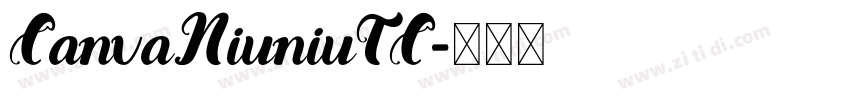 CanvaNiuniuTC字体转换