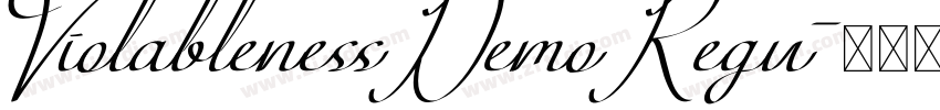 ViolablenessDemoRegu字体转换
