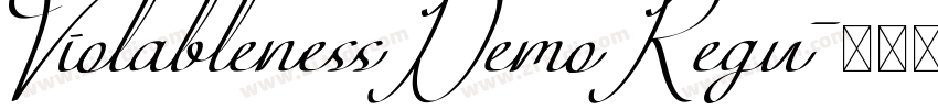 ViolablenessDemoRegu字体转换