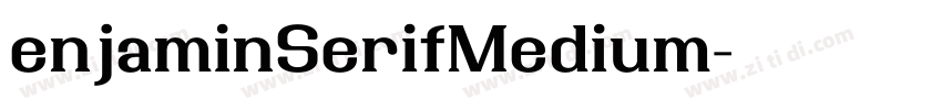 enjaminSerifMedium字体转换