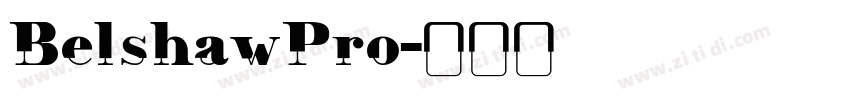 BelshawPro字体转换