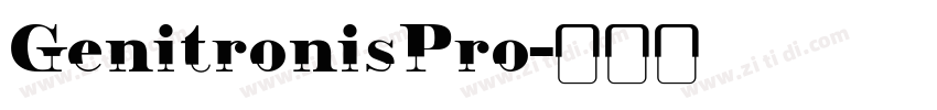 GenitronisPro字体转换