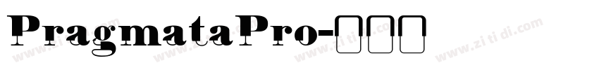 PragmataPro字体转换