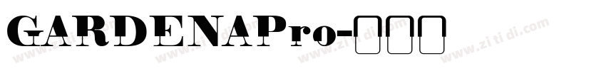 GARDENAPro字体转换
