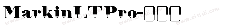 MarkinLTPro字体转换