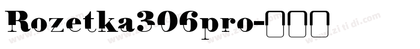 Rozetka306pro字体转换