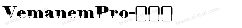 VemanemPro字体转换