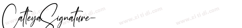 CatleyaSignature字体转换