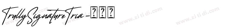 TrullySignatureTria字体转换