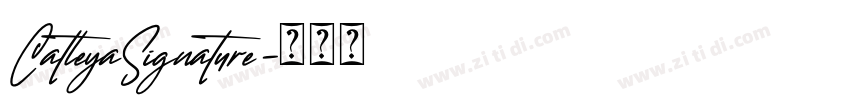 CatleyaSignature字体转换