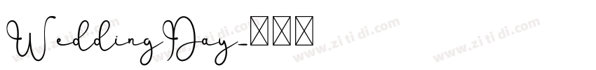 WeddingDay字体转换