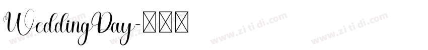 WeddingDay字体转换