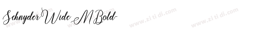 SchnyderWideMBold字体转换