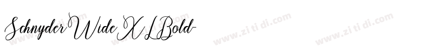 SchnyderWideXLBold字体转换