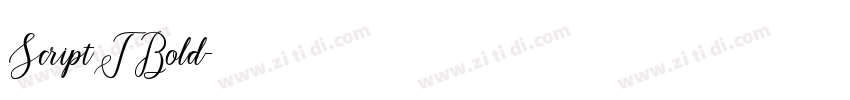 ScriptTBold字体转换 ScriptTBold字体转换