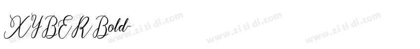 XYBERBold字体转换